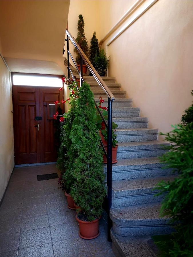 Villa Casa Ioana Брашов Екстер'єр фото
