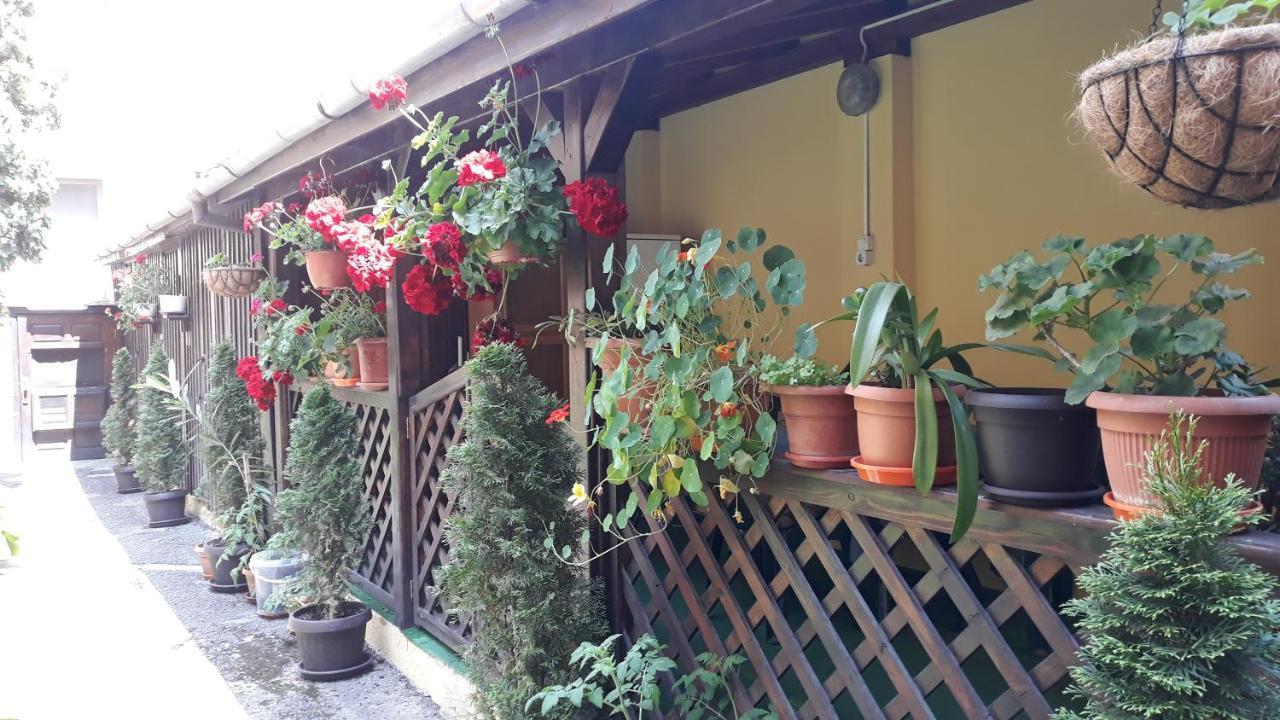 Villa Casa Ioana Брашов Екстер'єр фото