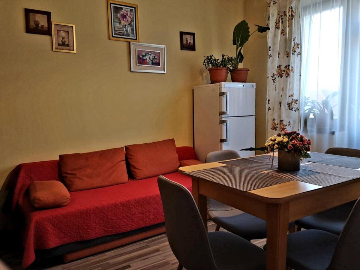 Villa Casa Ioana Брашов Номер фото