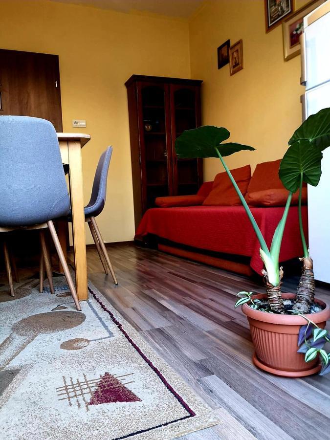 Villa Casa Ioana Брашов Номер фото