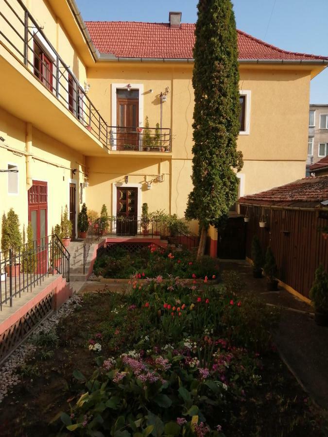 Villa Casa Ioana Брашов Екстер'єр фото